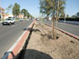 Linear Rolls by Villa Root Barrier