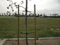 Hozewire by Villa Root Barrier