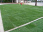 Grass Pave2