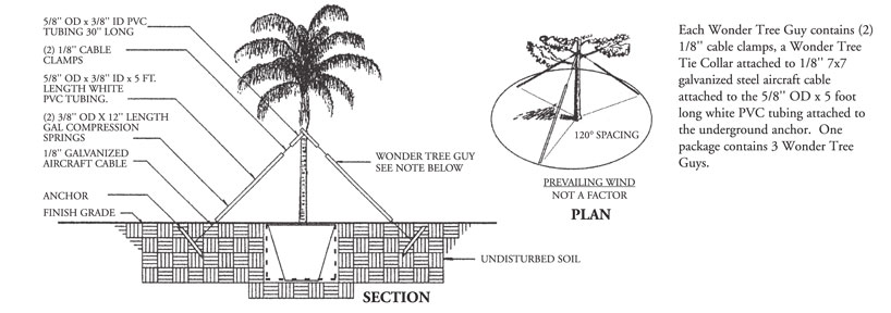 Wonder Tree Guy from Villa Root Barrier